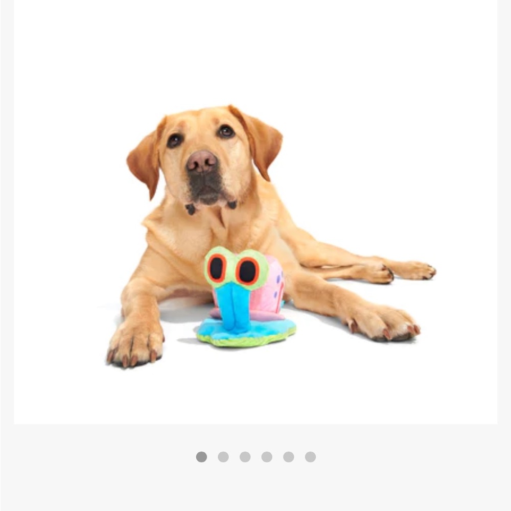 Shell-shocked Gary by BarkBox
